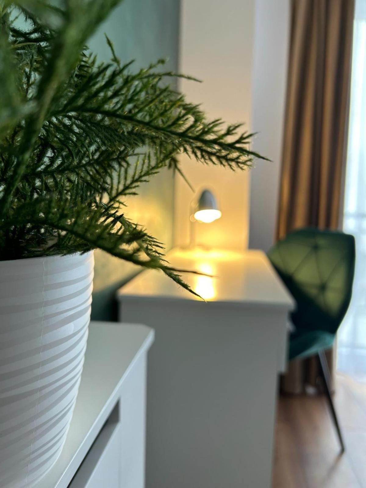 Central Cosy Apartment Cluj-Napoca Extérieur photo